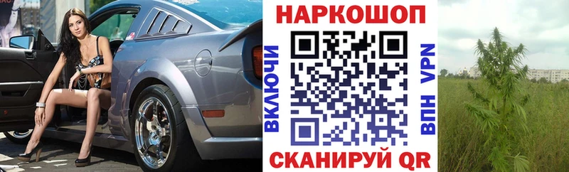 Наркота Полесск Бошки Шишки  МЕФ  Кокаин  ГАШ 