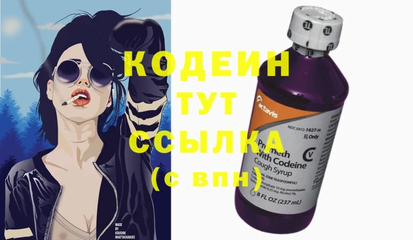 прущие грибы Магадан