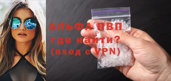 прущие грибы Магадан