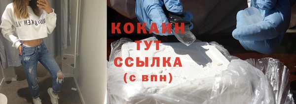 прущие грибы Магадан