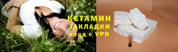 прущие грибы Магадан