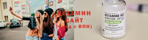 прущие грибы Магадан