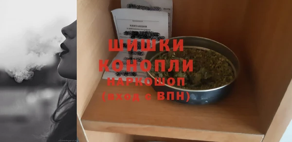прущие грибы Магадан