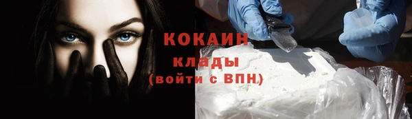 прущие грибы Магадан