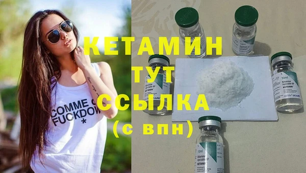 прущие грибы Магадан