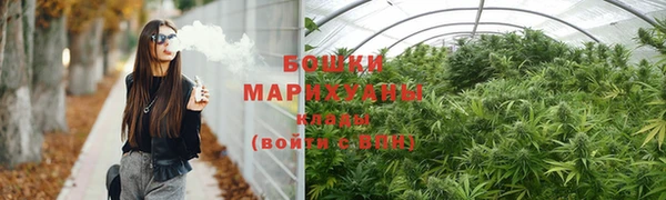 прущие грибы Магадан