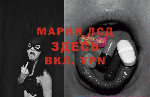 прущие грибы Магадан