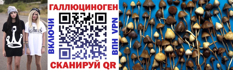 Галлюциногенные грибы ЛСД  Полесск 